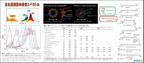 640_吸収スペクトル