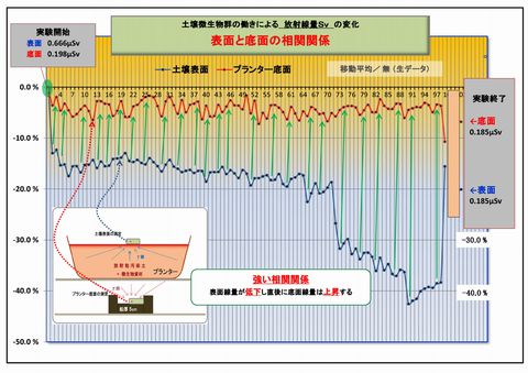 2400_実験⑤相関関係ppt