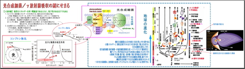 謎にせまる