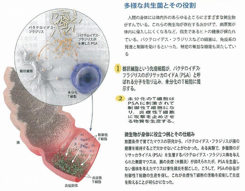 640_免疫