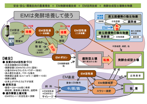 農業／ＥＭ培養