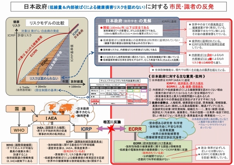 640_日本政府の見解と識者の反発