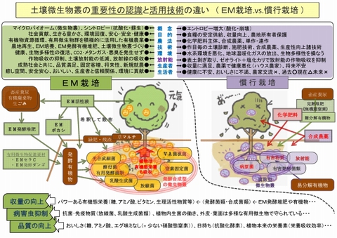 640_ＥＭ栽培vs慣行栽培