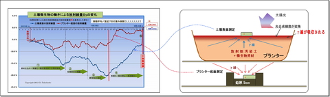 放射線吸収_プランター図